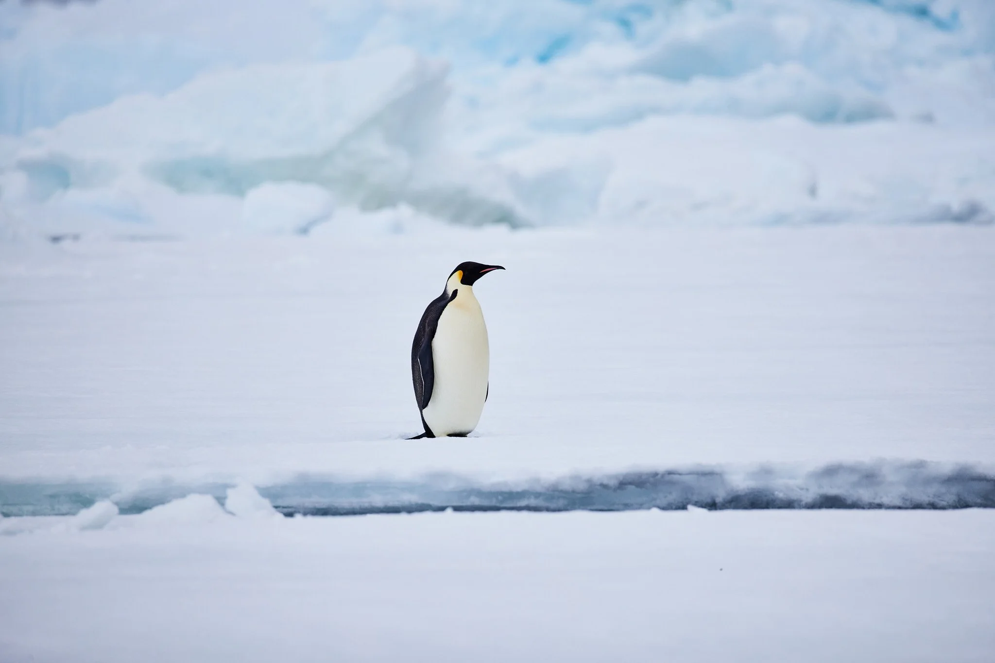AntarticaRAW_8334.jpg