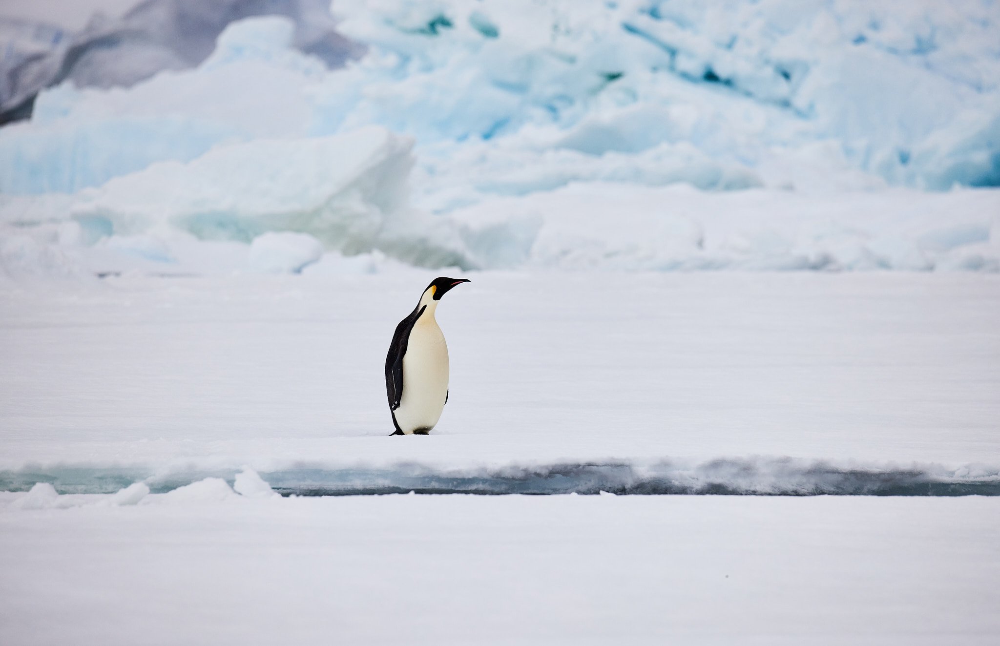 AntarticaRAW_8257.jpg