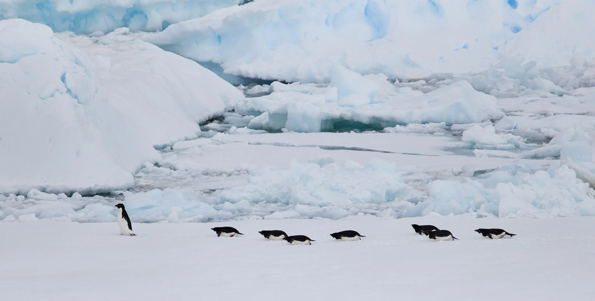 AntarticaRAW_8142.jpg