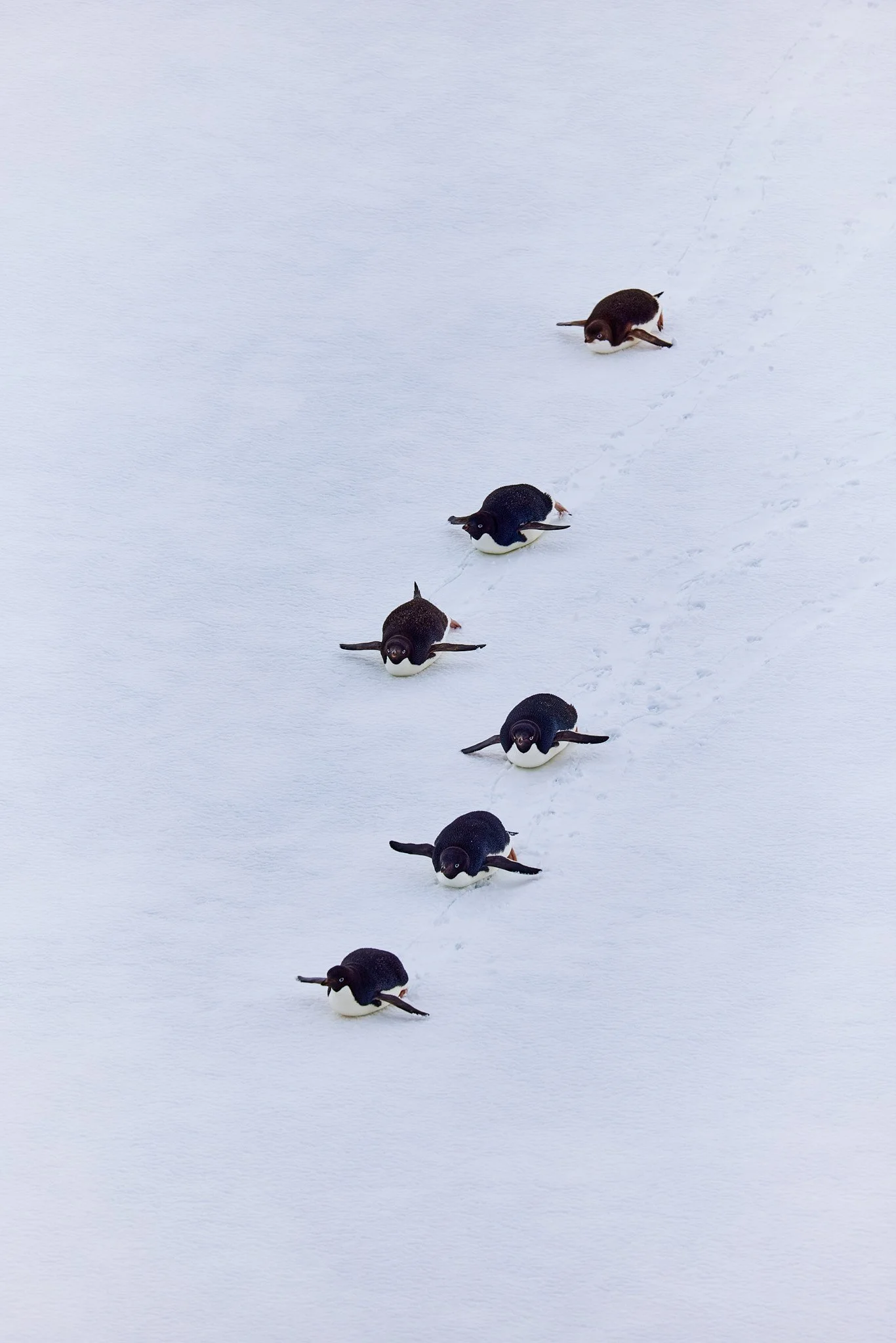AntarticaRAW_8029.jpg