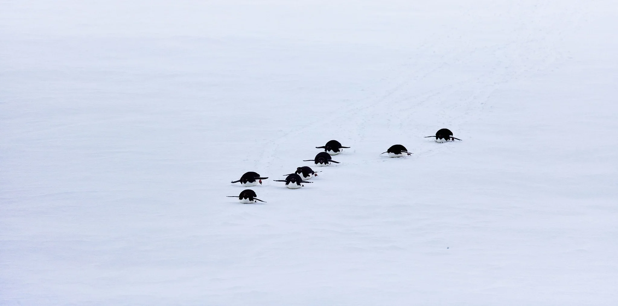 AntarticaRAW_7989.jpg