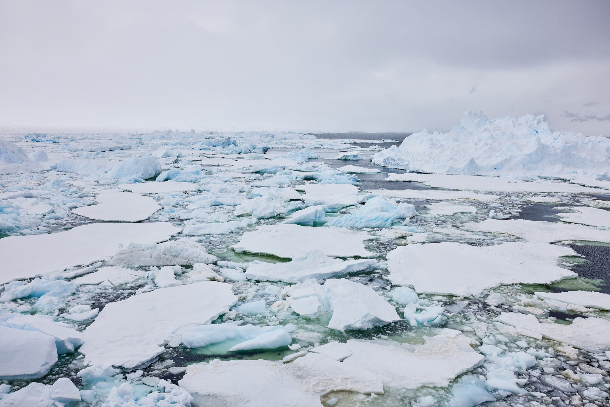 AntarticaRAW_7905.jpg