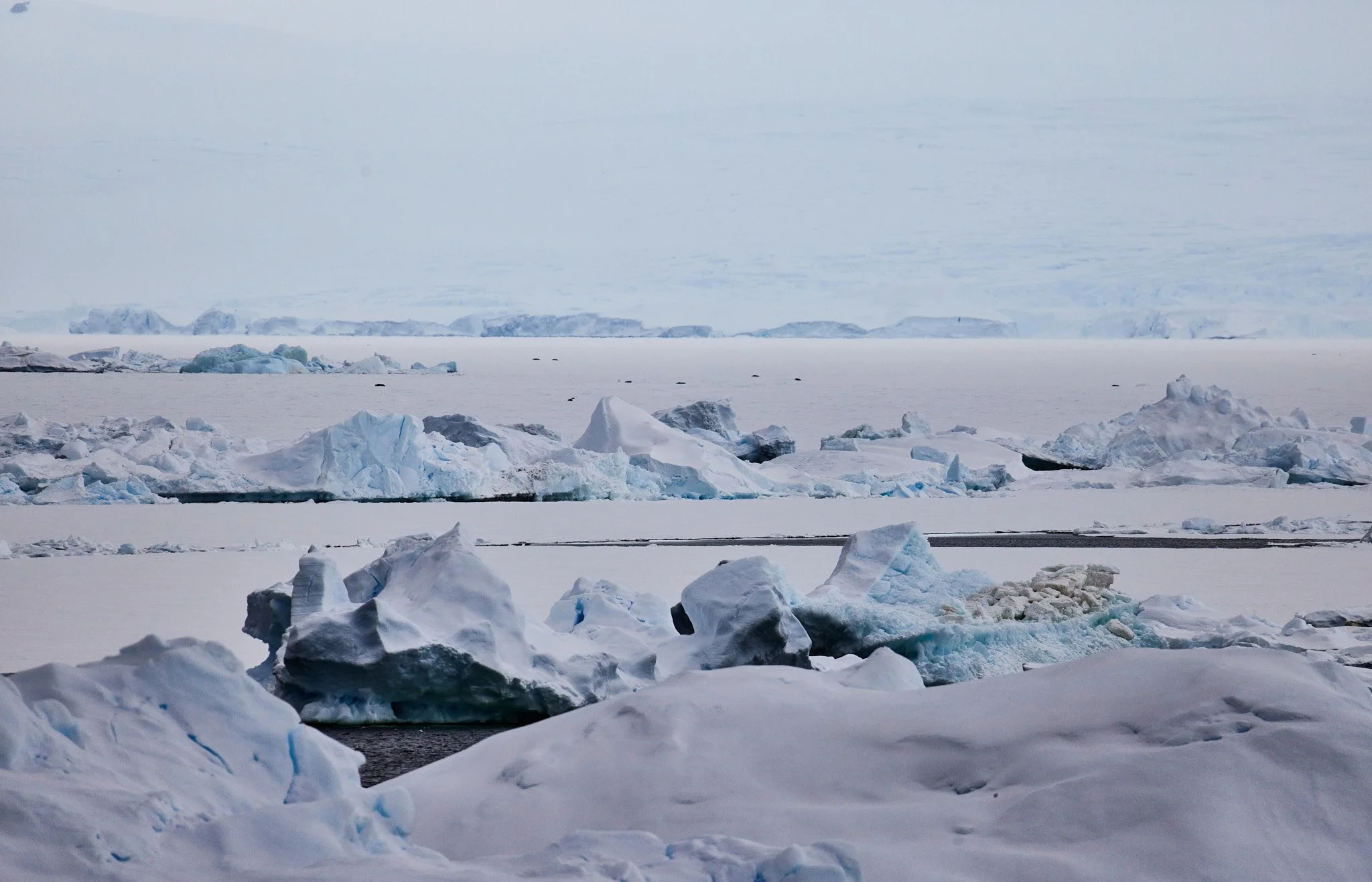 AntarticaRAW_7665.jpg