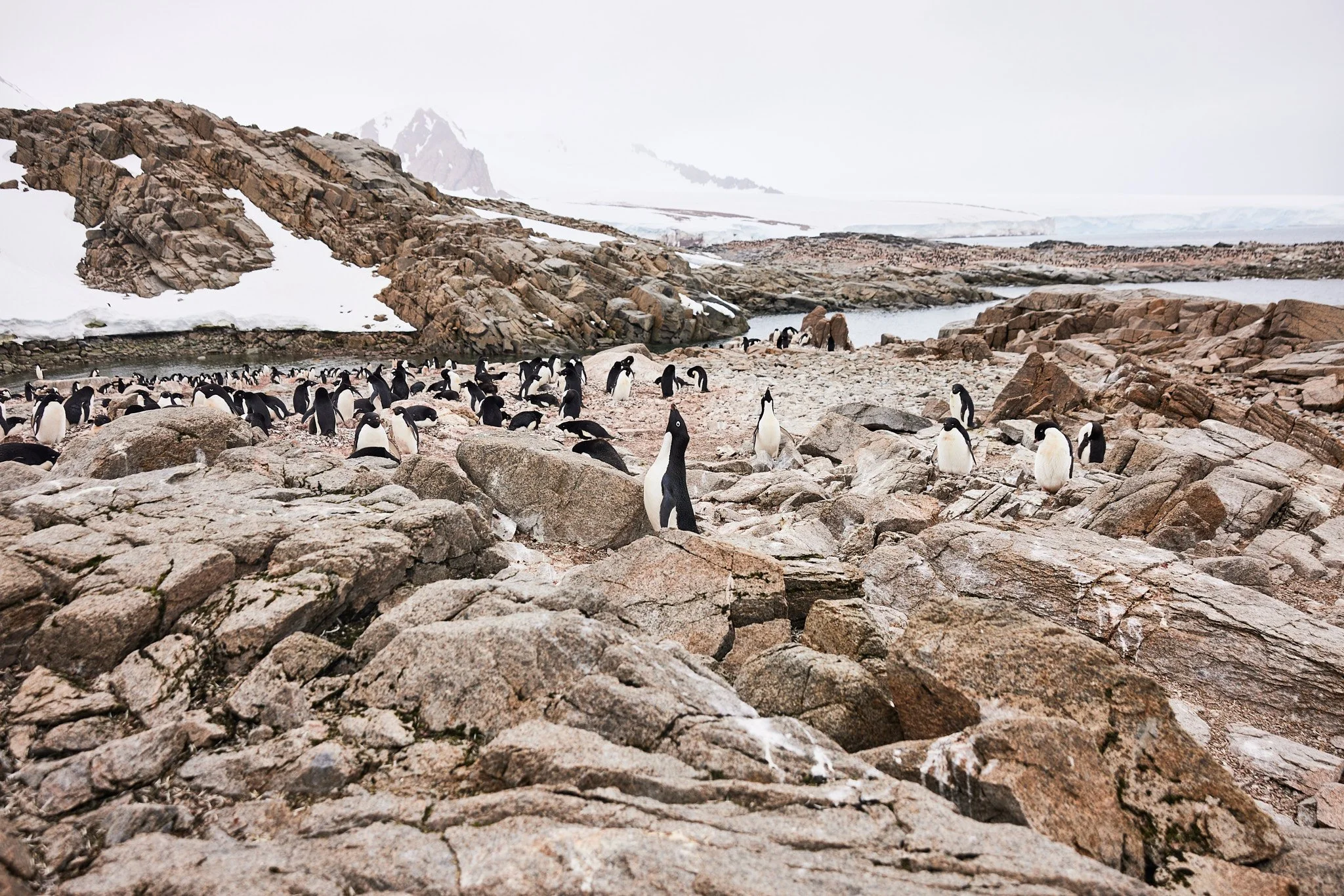 AntarticaRAW_6112.jpg