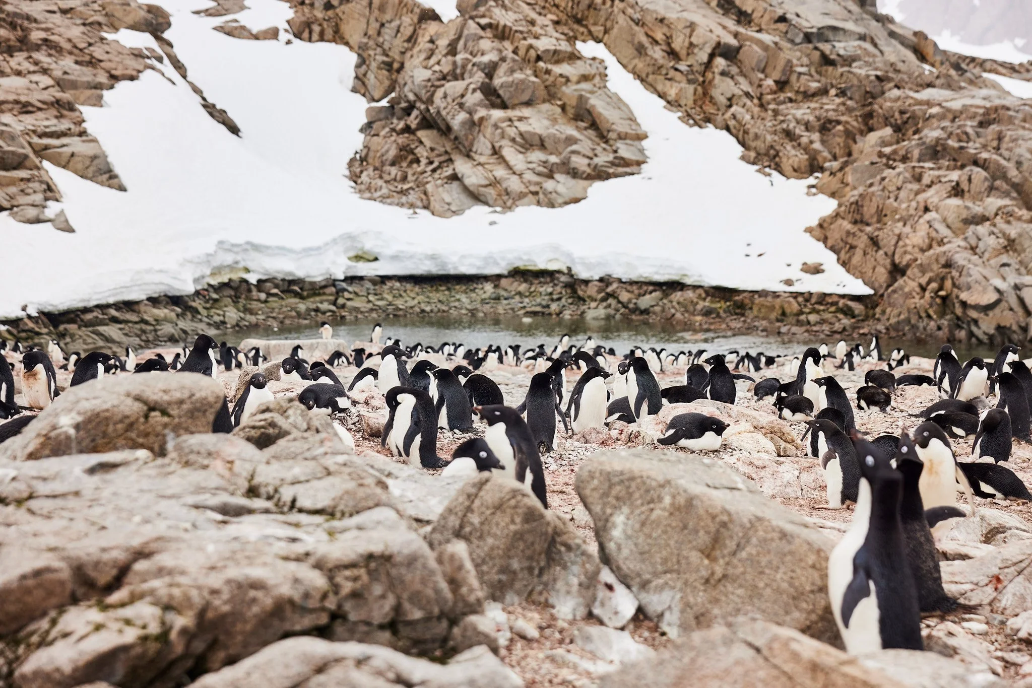 AntarticaRAW_6079.jpg