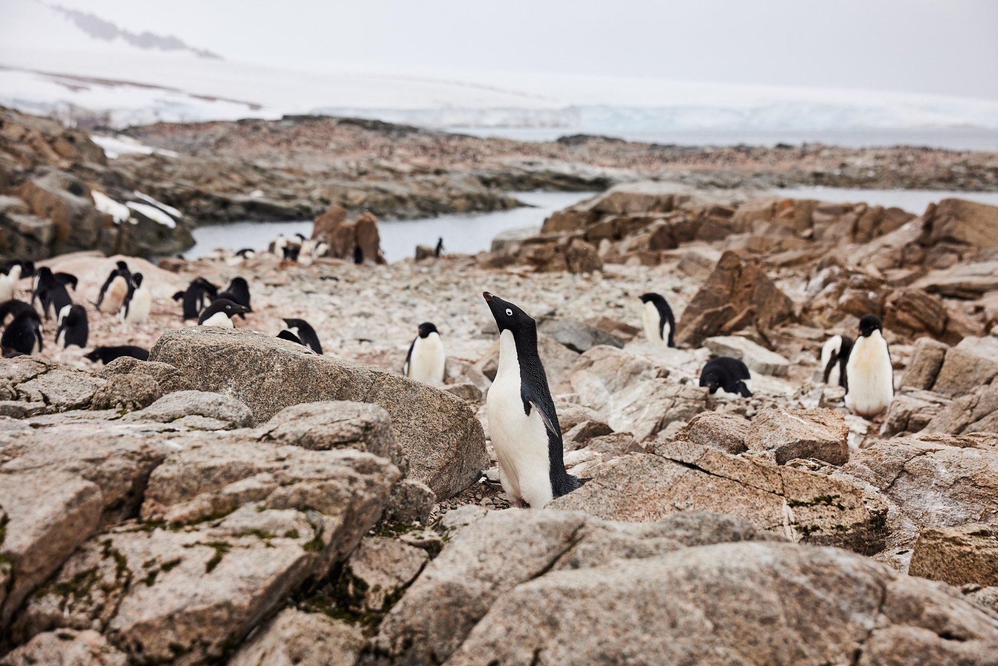 AntarticaRAW_6053.jpg