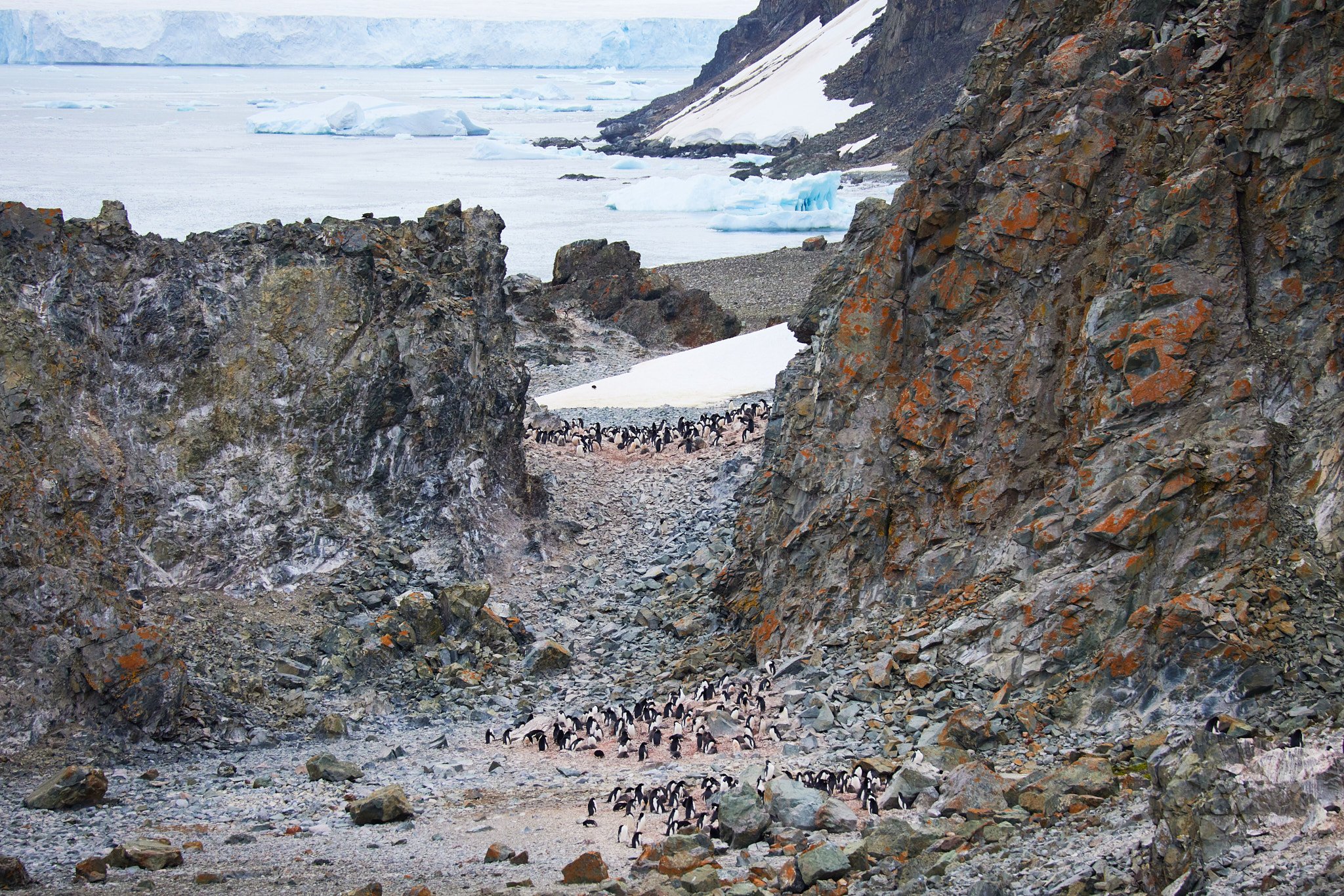 AntarticaRAW_5652.jpg
