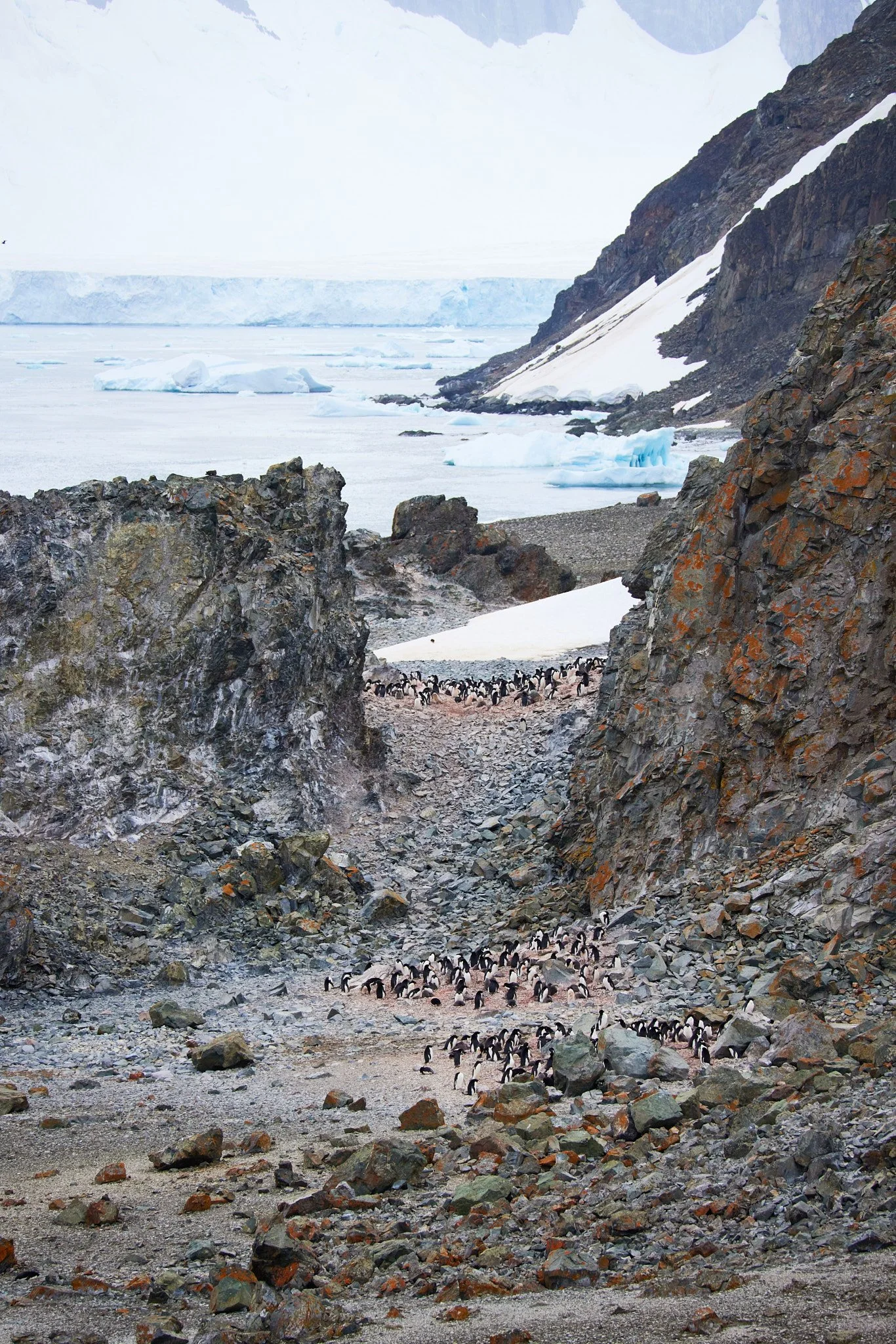 AntarticaRAW_5644.jpg