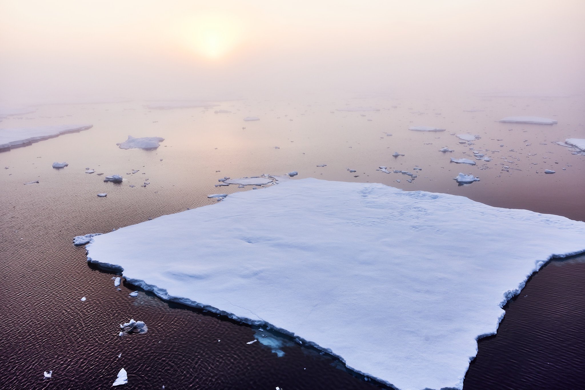 AntarticaRAW_5002.jpg