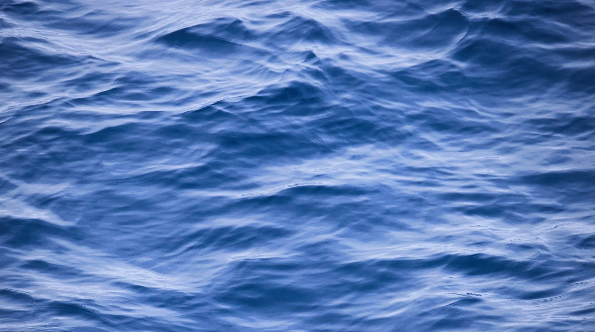 AntarticaRAW_3047.jpg