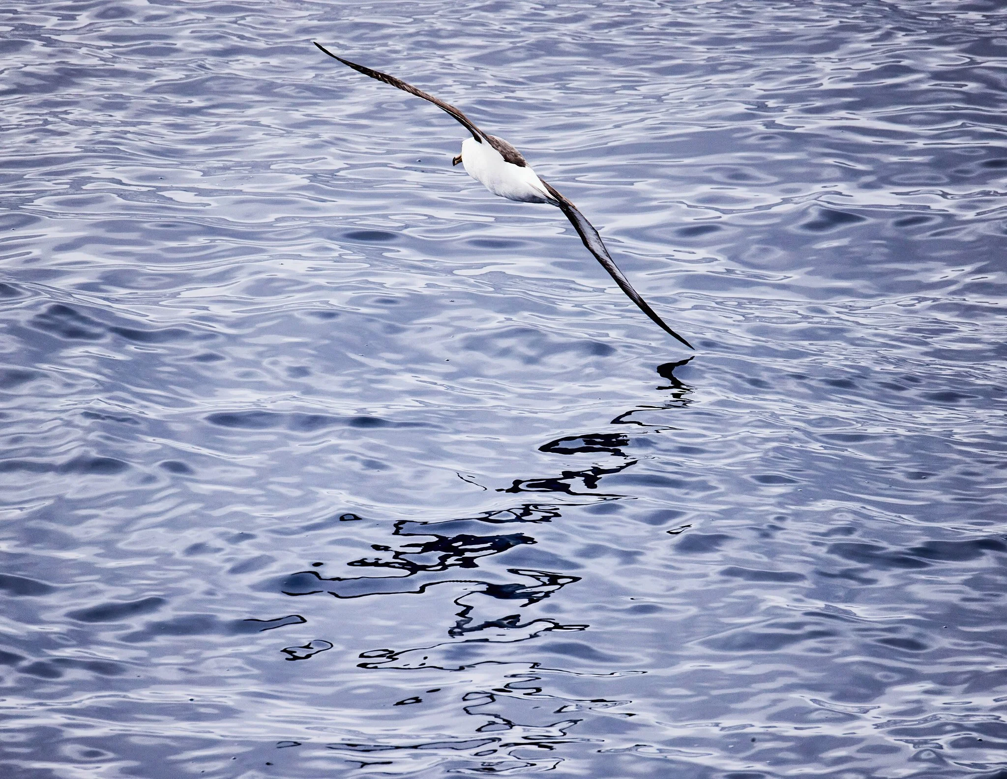 AntarticaRAW_2204.jpg