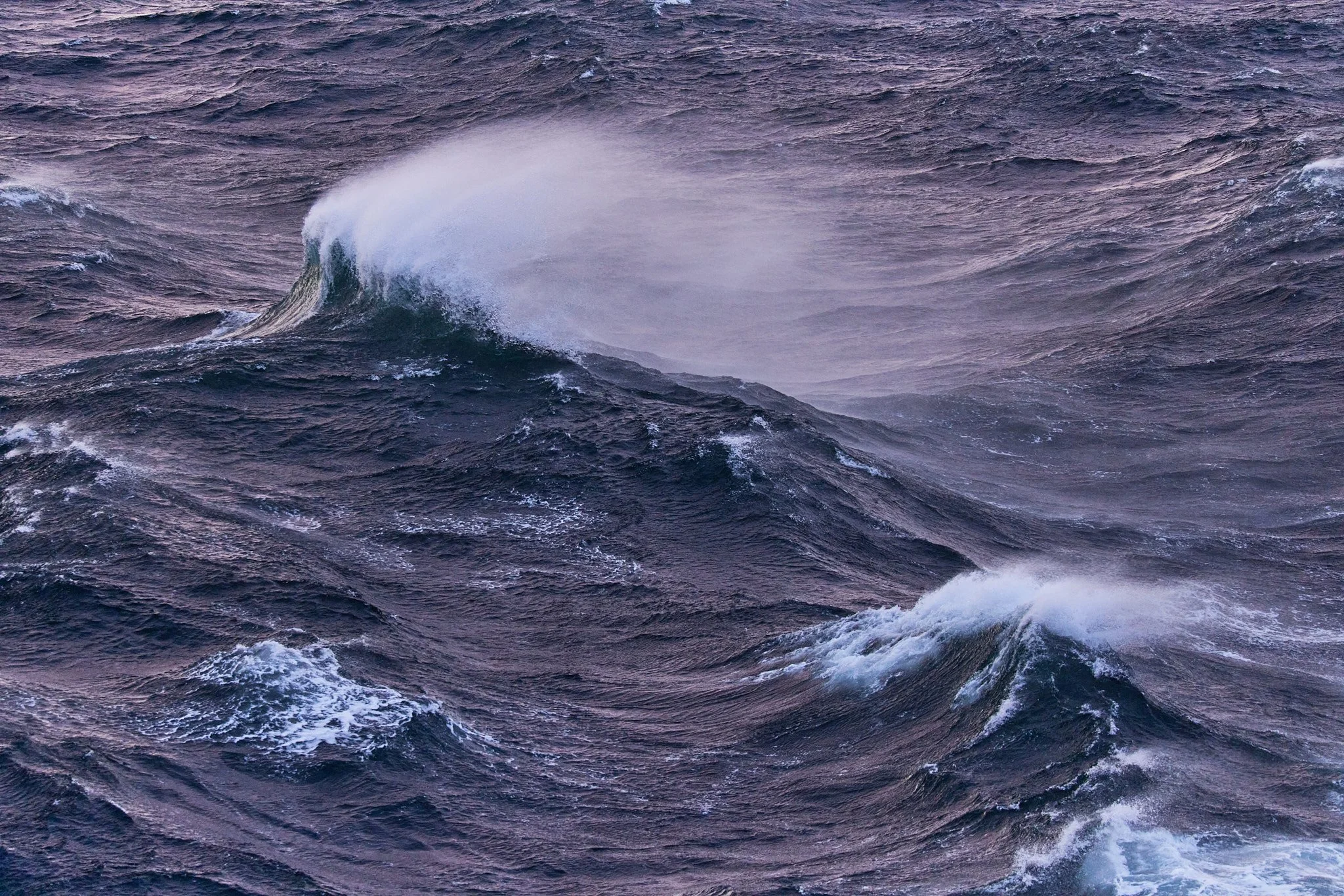 AntarticaRAW_803.jpg