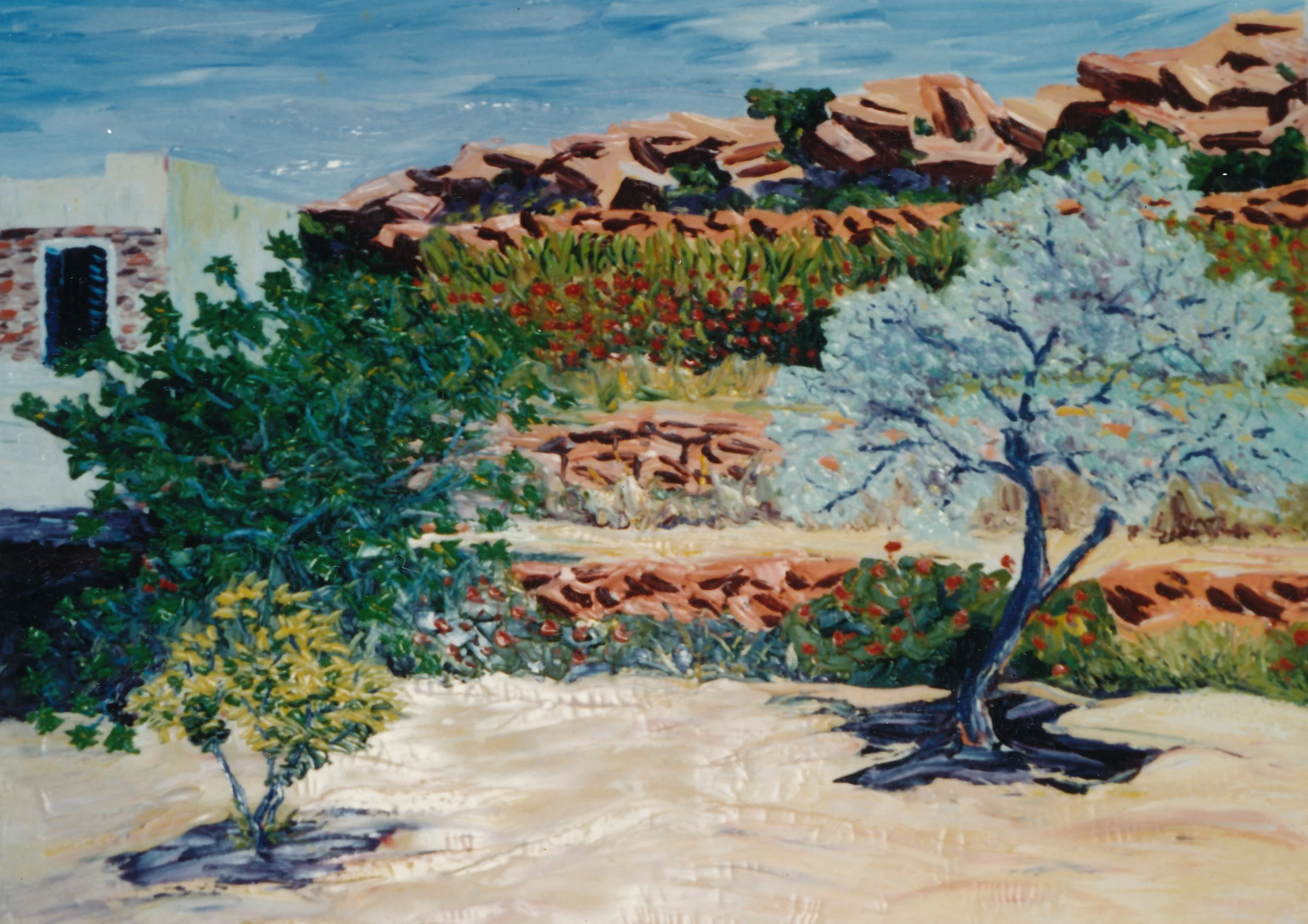 Olive Tree