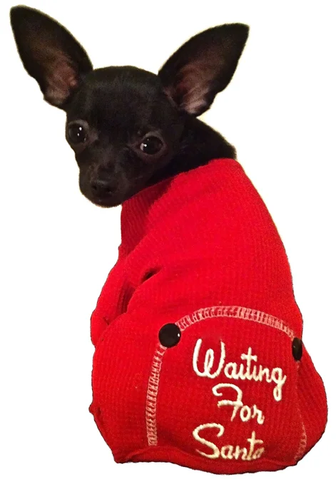 tashi-for-christmas.jpg