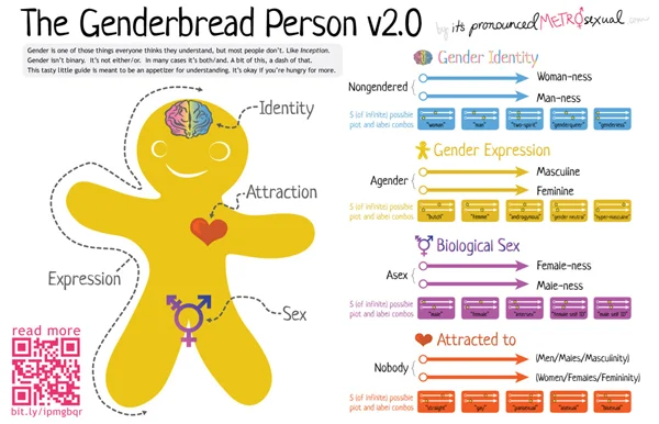 the-genderbread-person.jpg