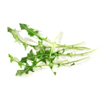 Dandelion root is good for all skin types