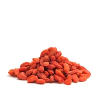 goji-berry-extract-glossary-page.jpg