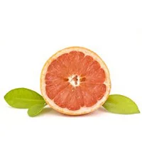 grapefruit-essential-oil-glossary-page.jpg