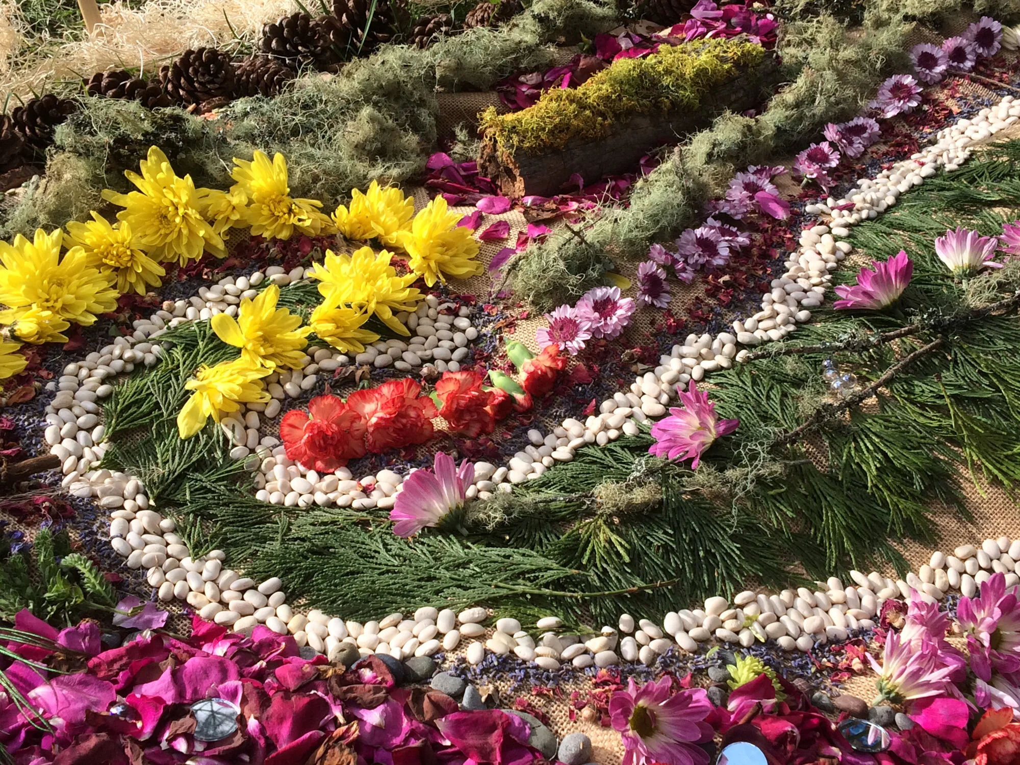 2018-05-26 17.48.53.jpg