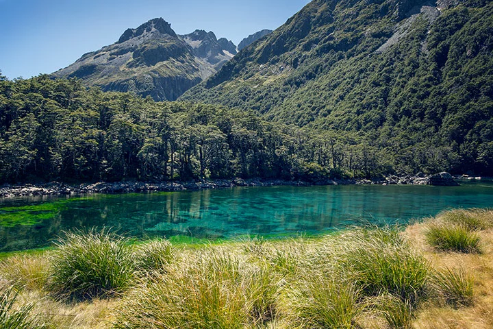 on-New-Zealand-s-South-Is-002.jpg
