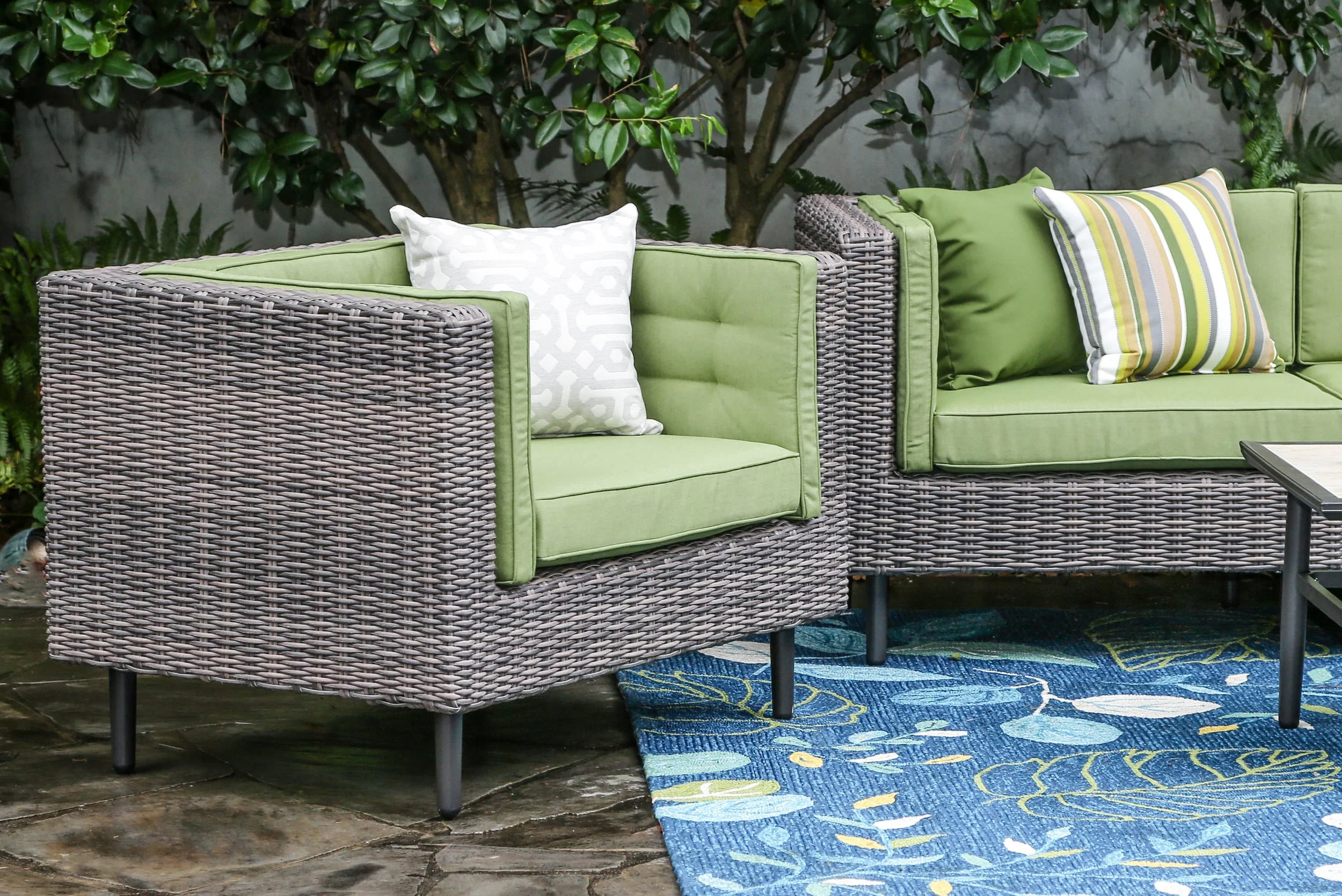 5_Canvas-Palm 5421-0000.jpg