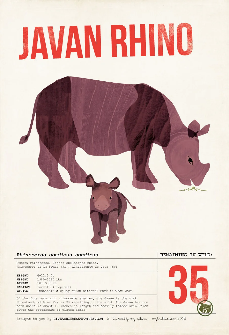 javan-rhino-web_905.jpg