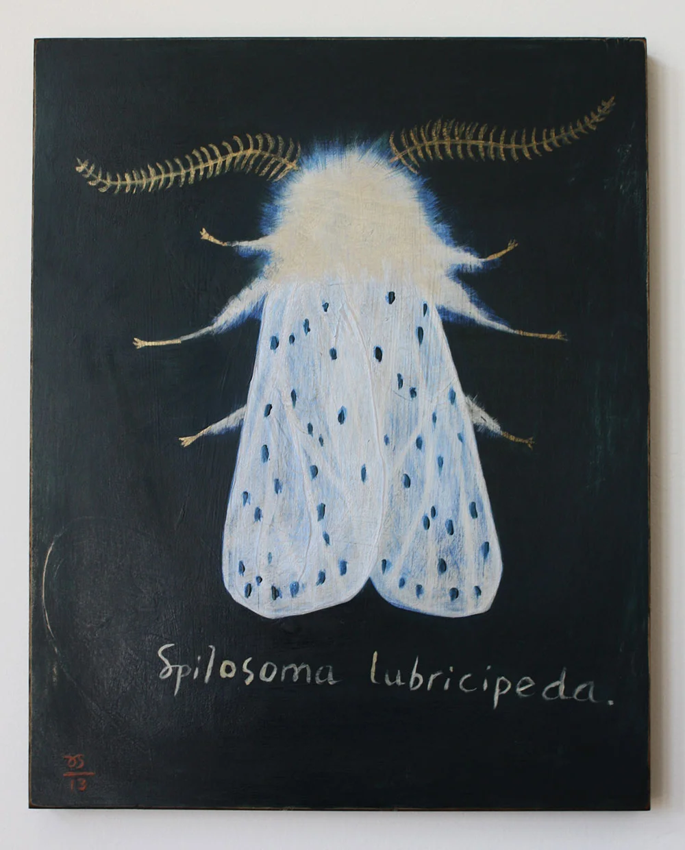 moth-web.jpg