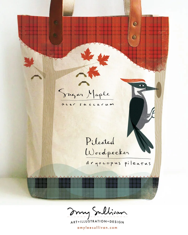 maple-woodpecker1-web.jpg