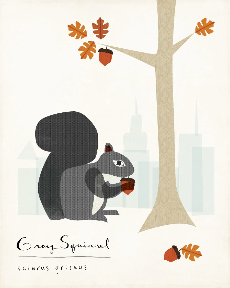 squirrel-web.jpg