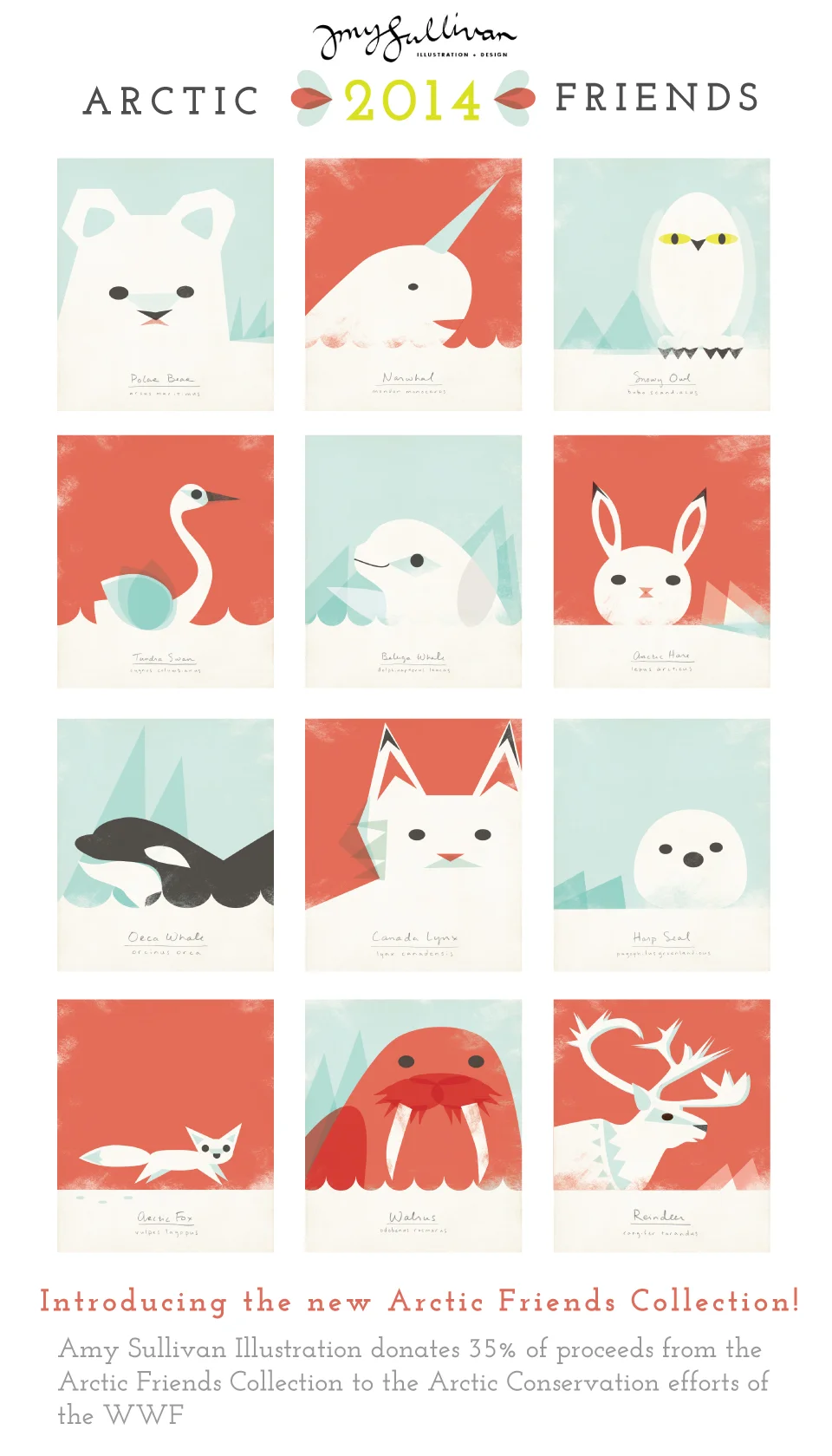 ANIMAL-CAL-sneek-p.jpg
