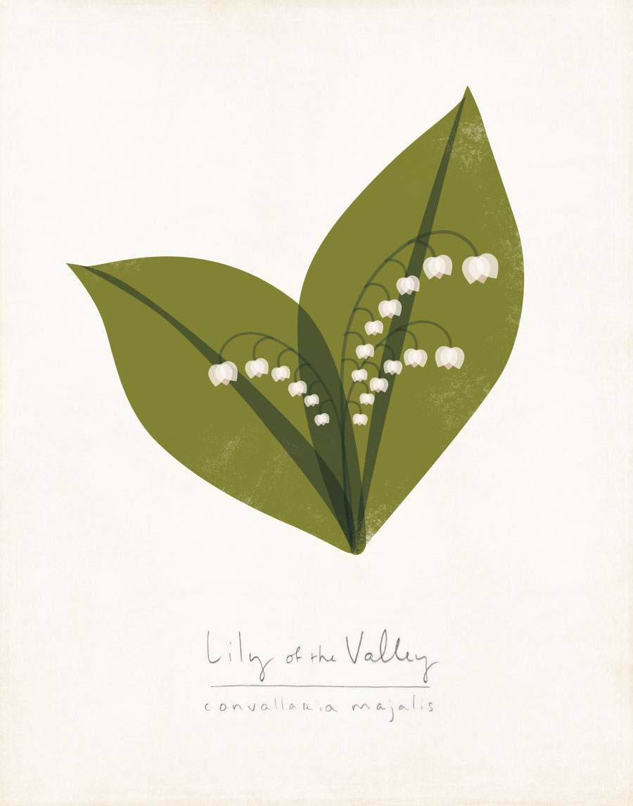 lily-valley-web.jpg
