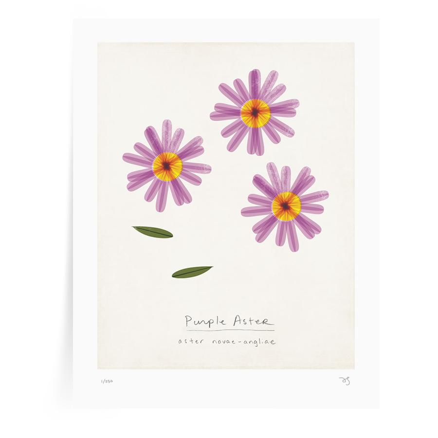 aster-print-web.png