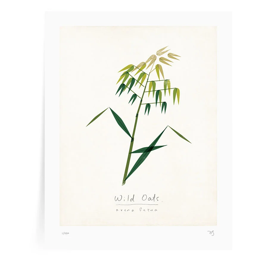 Wild-Oats-Modern-Botanical.jpg