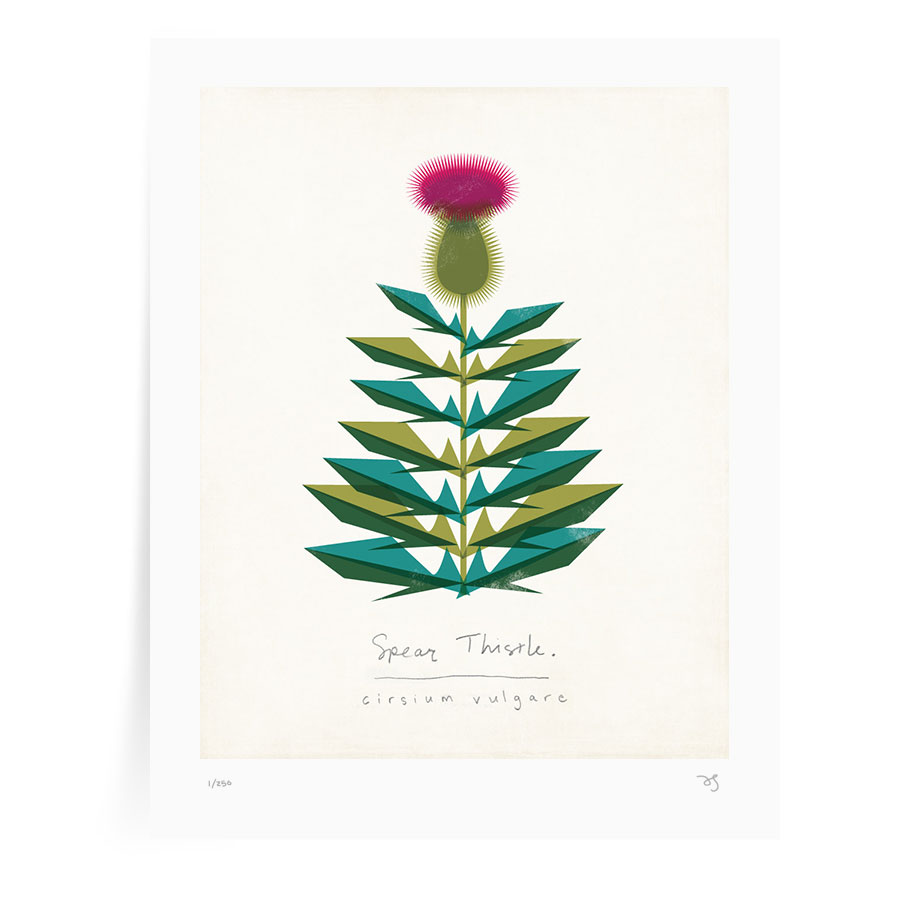 spear-thistle-modern-botanical.jpg