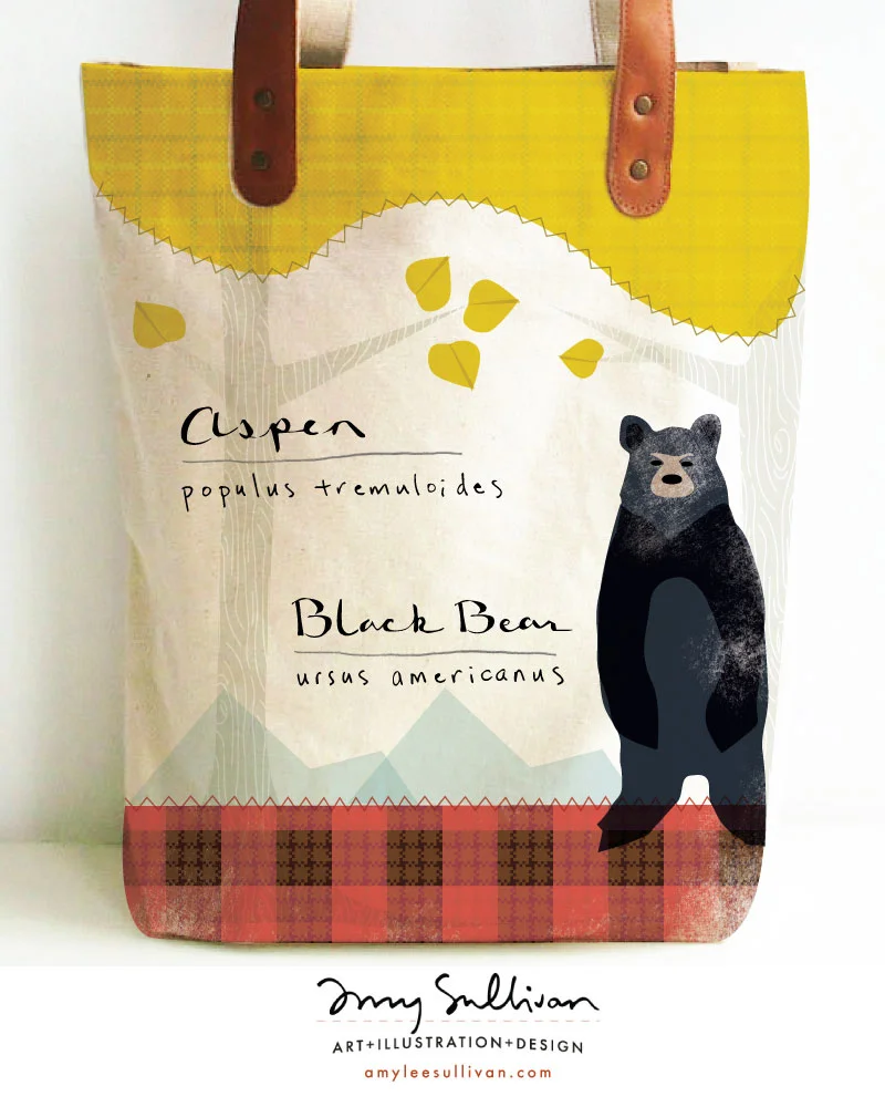 aspen-bear-web_905.jpg