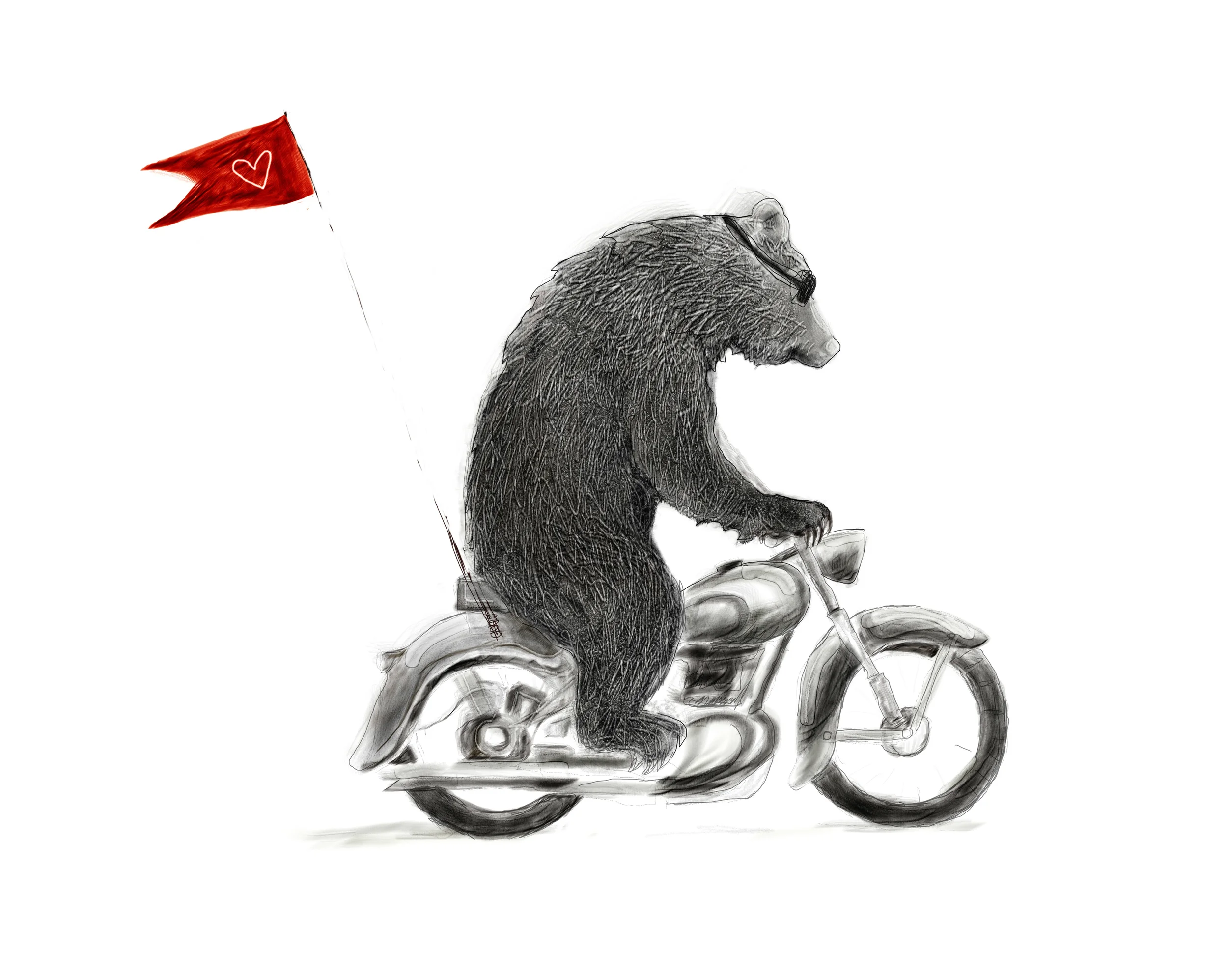 bearmoto810.jpg