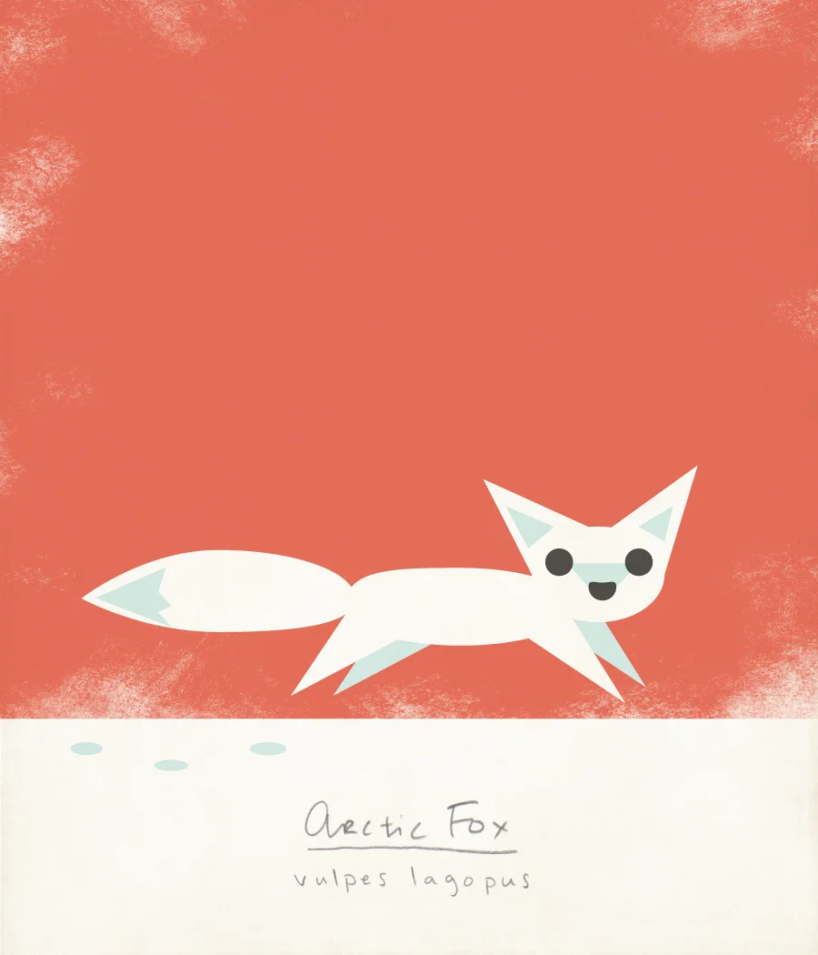 FOX.jpg
