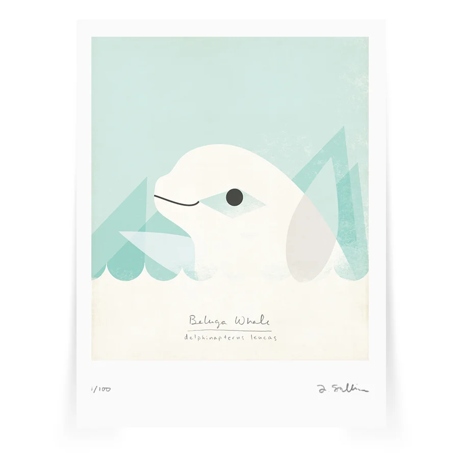 beluga.jpg