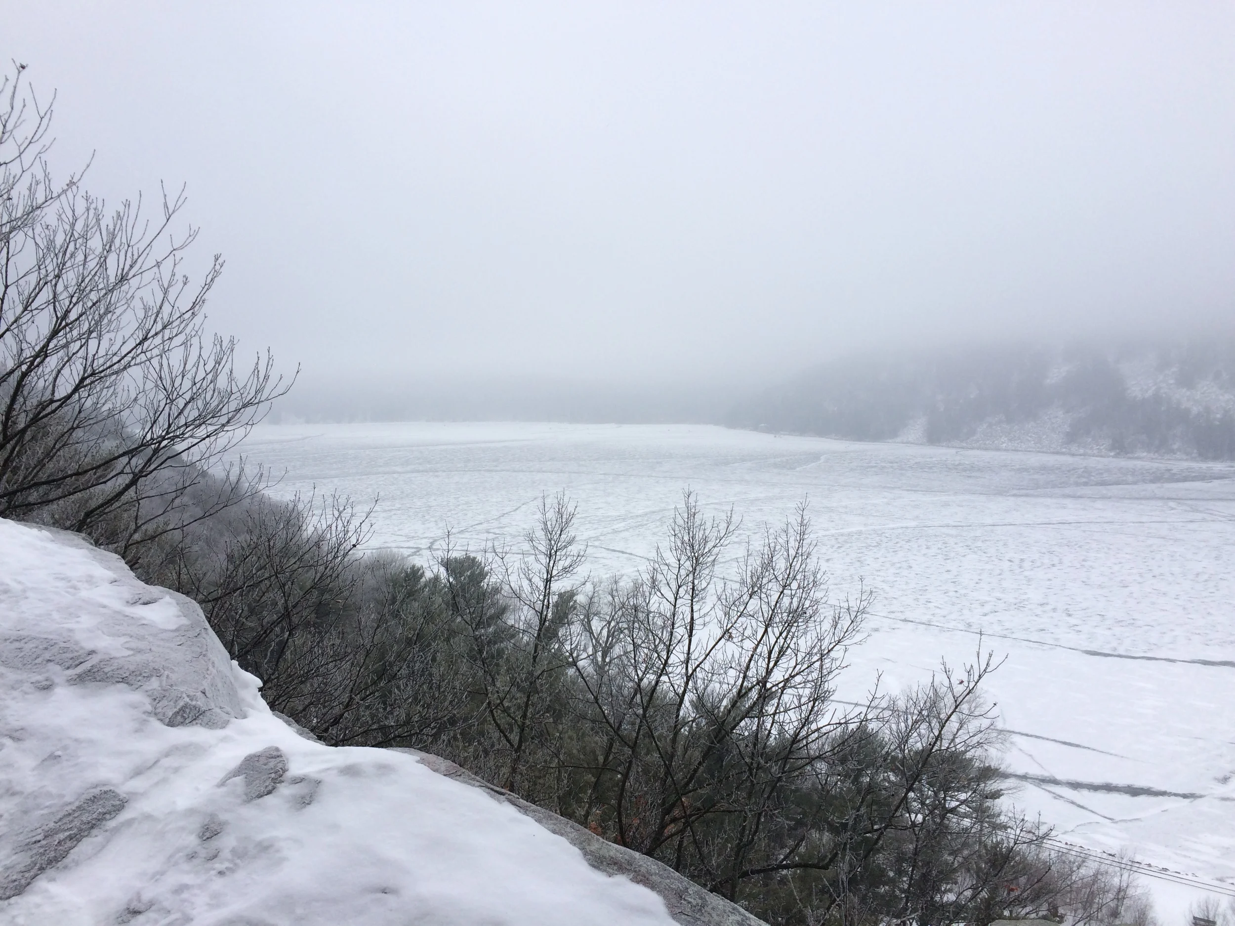 2016-01-15 11.25.41.jpg