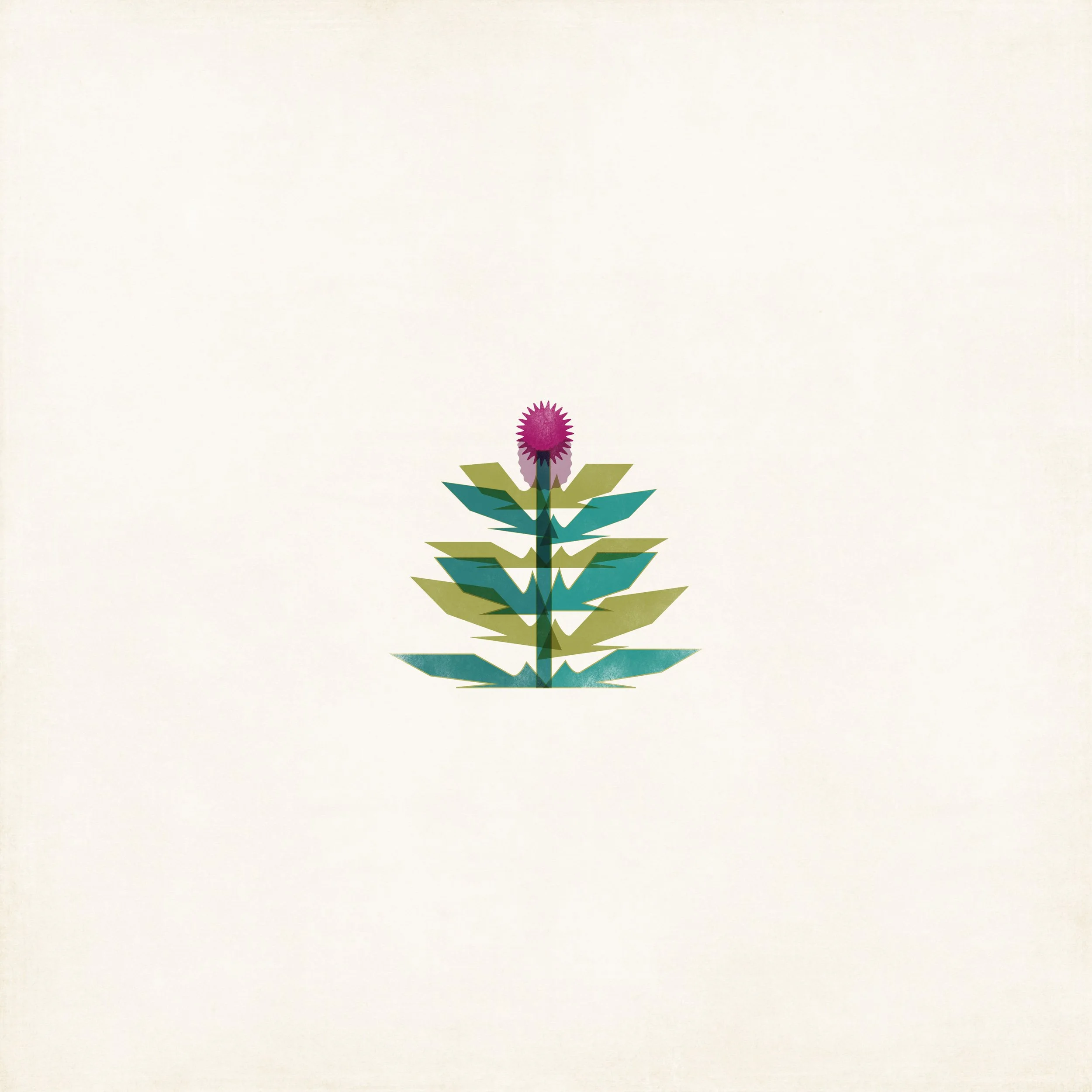 thistle1.jpg