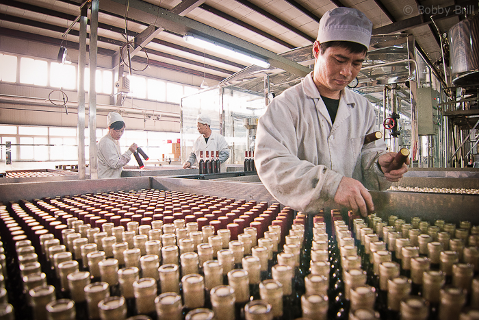 Vintners work everyday to ship out for the growing demand of Chinese-produced ice wine.