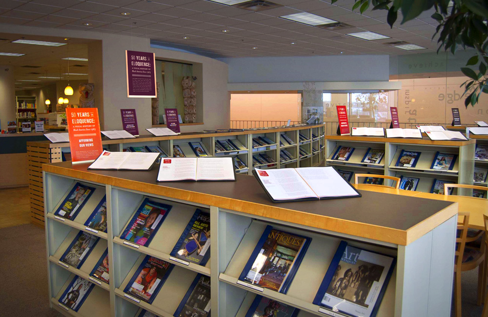 BHM2013_Library4_1000px.jpg