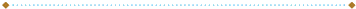 DottedDivider.png