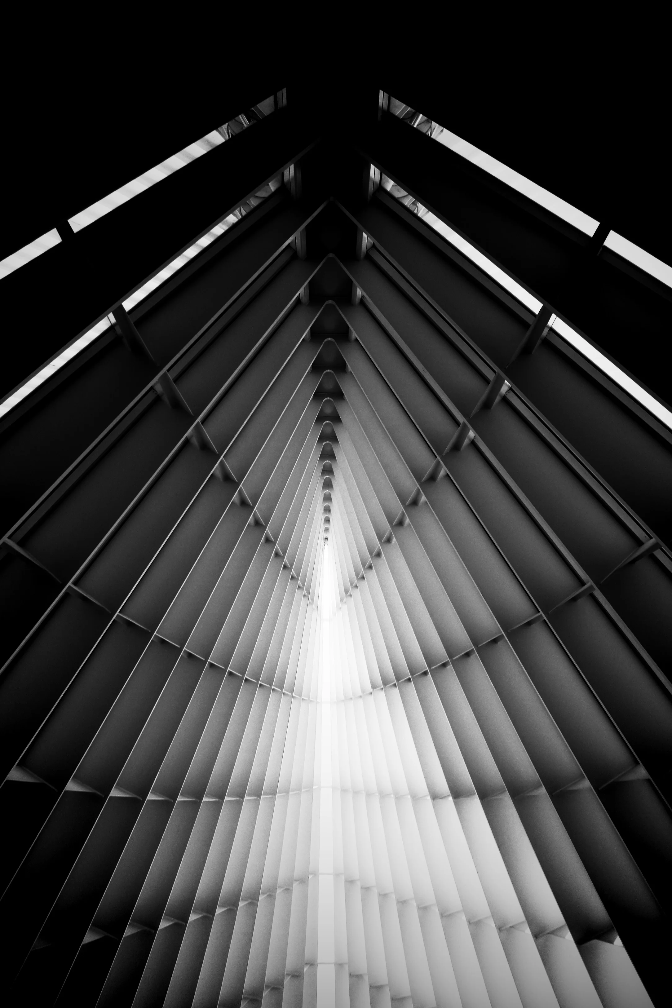 calatrava1.jpg