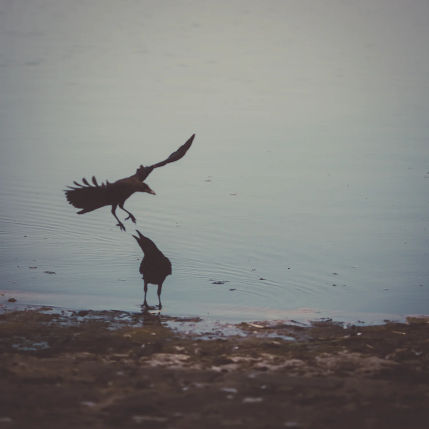20130712 2013 07 12 - Wide Open - 1077.jpg
