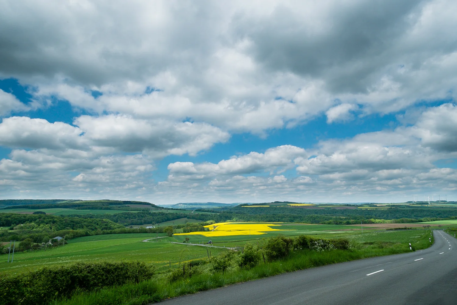 20130518-Going Wide 1764.jpg