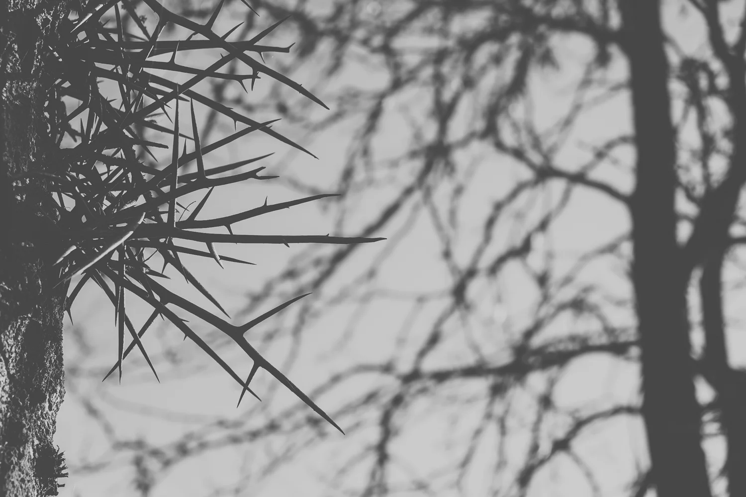 20131022 Echternach Lake - 2021.jpg