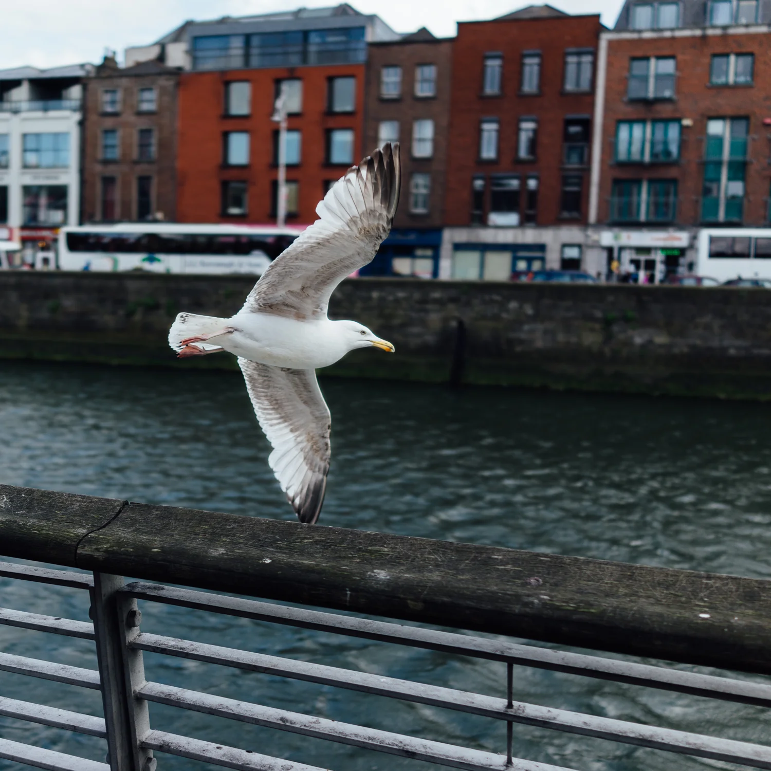 20140507 Dublin RX1R - 00854.jpg