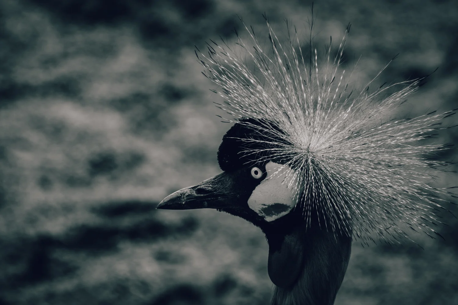 Zoo Amnéville-6.jpg