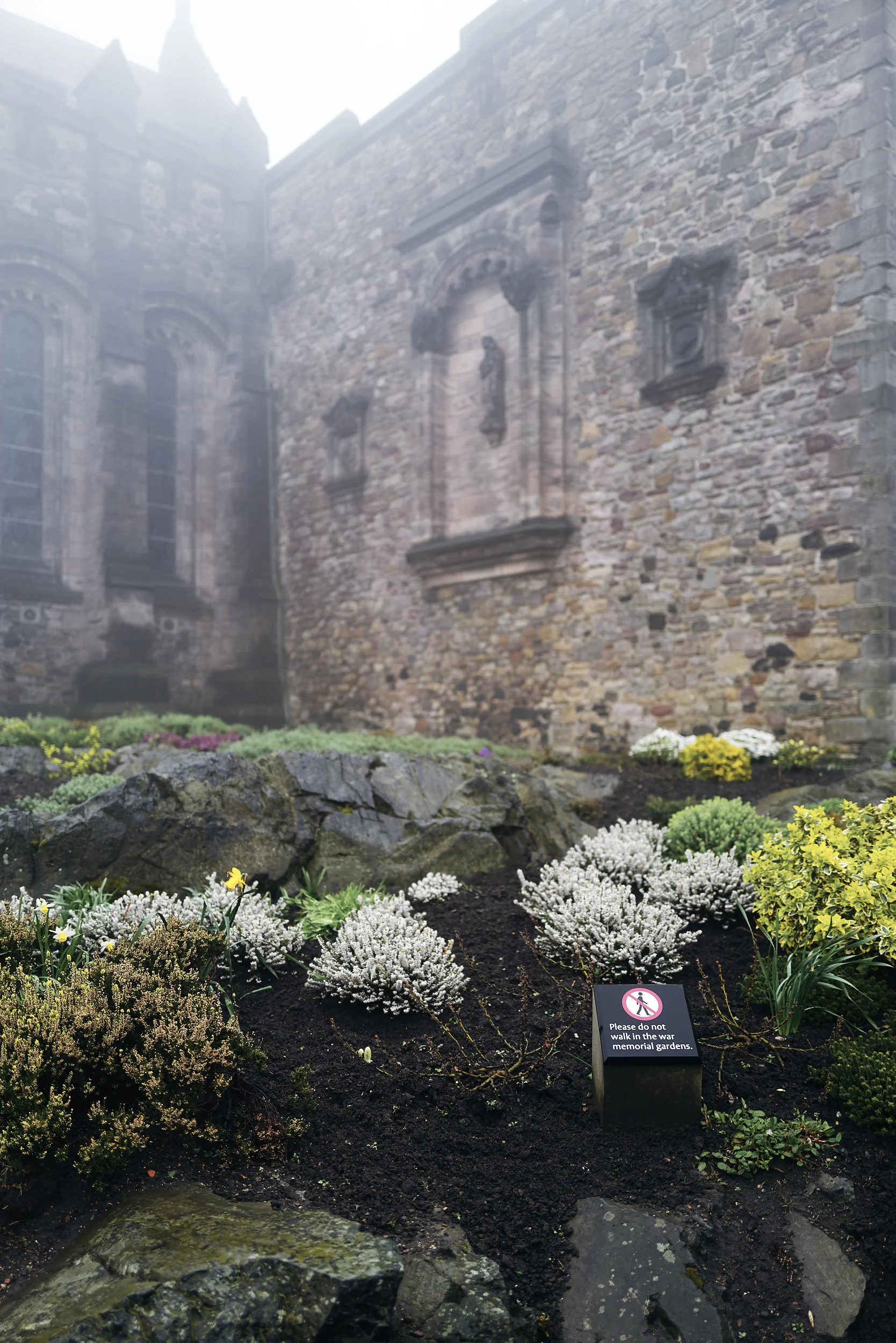 2019 04 14 - Scotland 2019 Q2 11.jpg